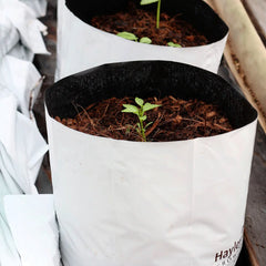 bloque de sustrato de coco 27lt