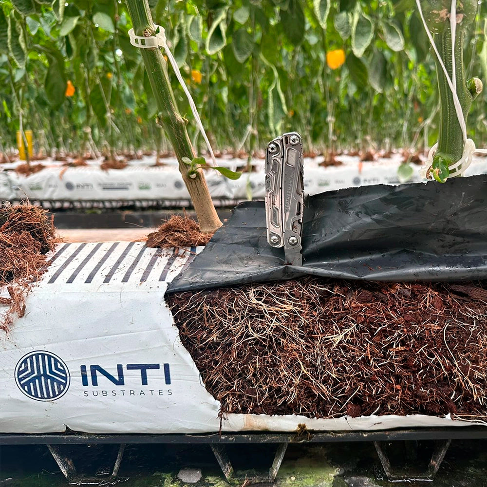 INTI ® Eco Solutions