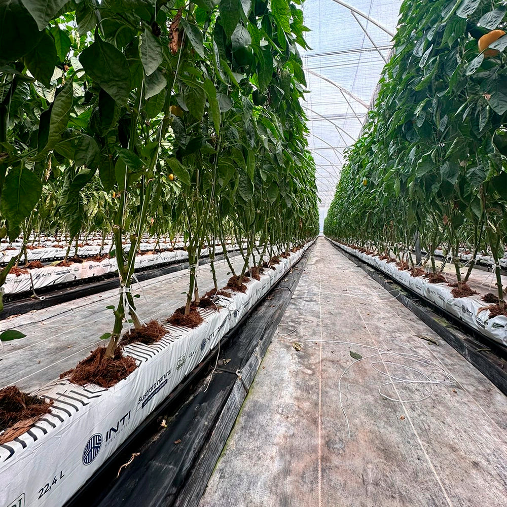 INTI ® Eco Solutions