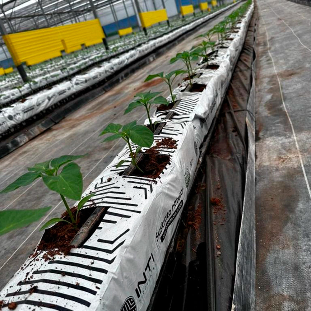 INTI ® Eco Solutions