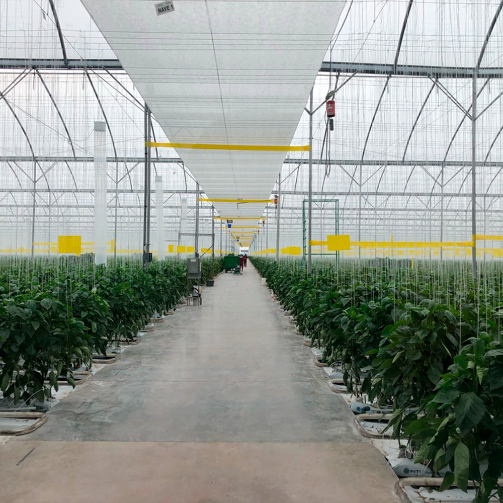 INTI ® Eco Solutions