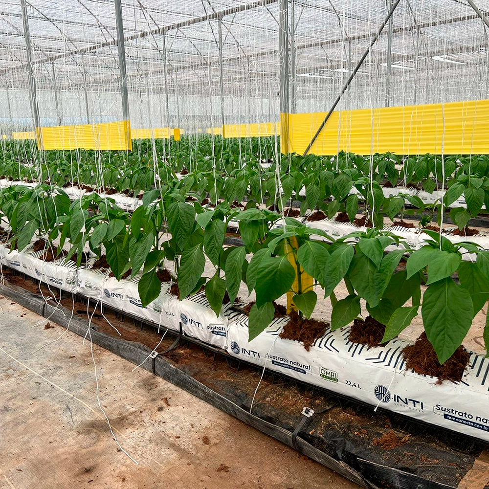 INTI ® Eco Solutions