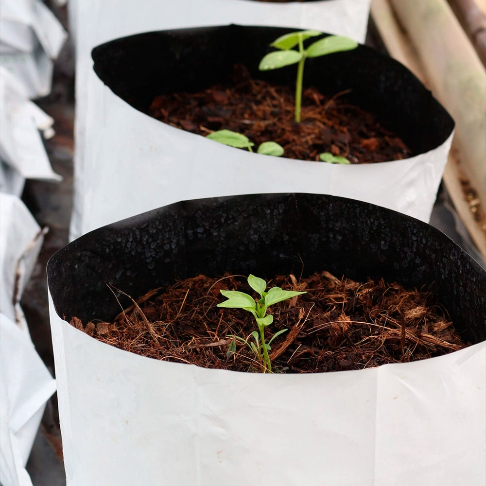INTI ® Eco Solutions