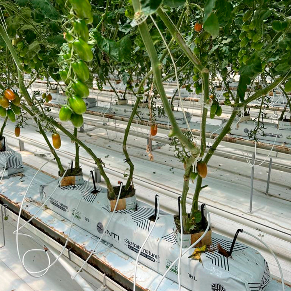 INTI ® Eco Solutions