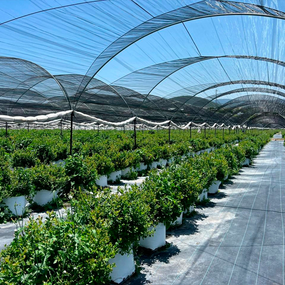 INTI ® Eco Solutions