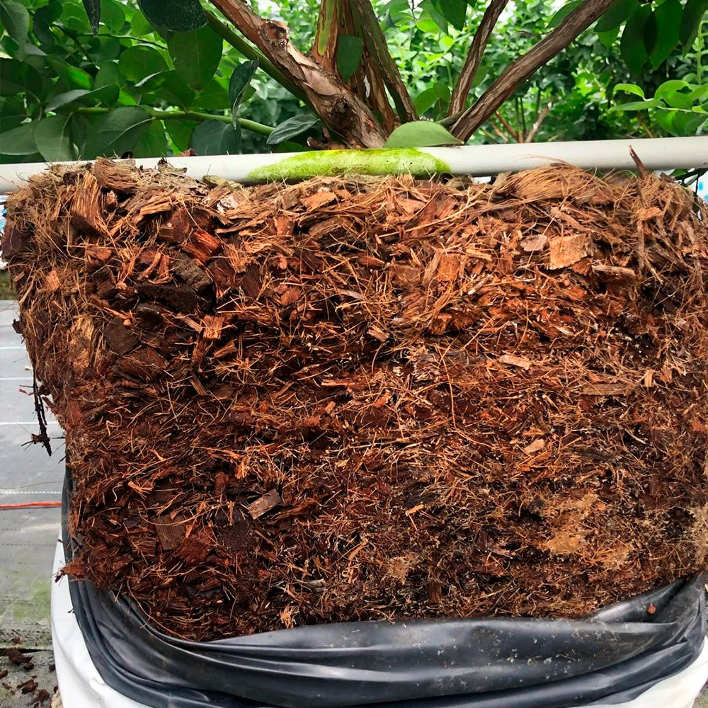 INTI ® Eco Solutions