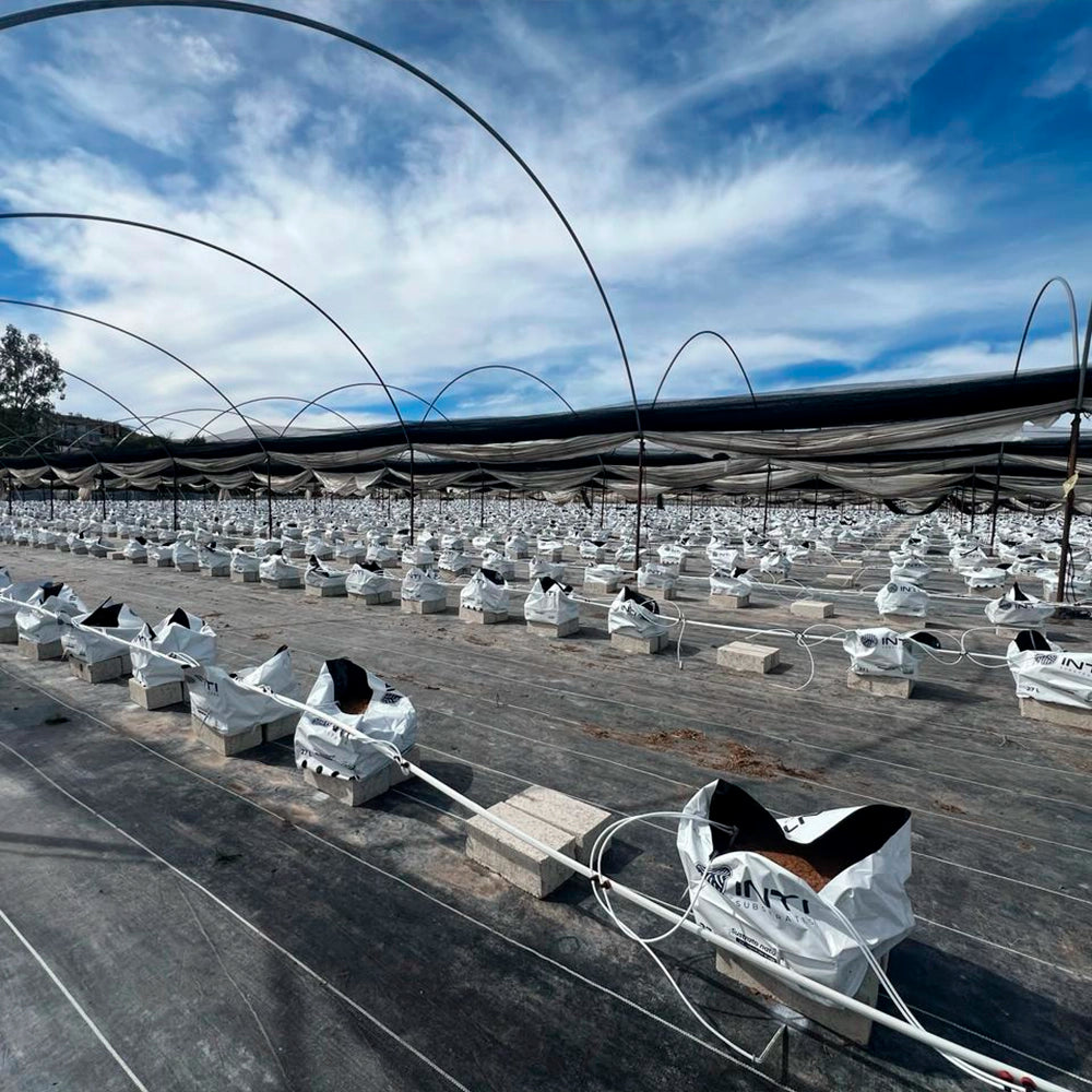 INTI ® Eco Solutions