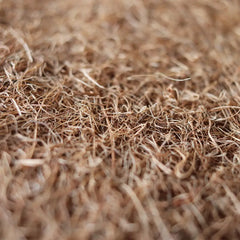disco biodegradable