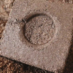 cubos para plantaciones de sustrato de coco