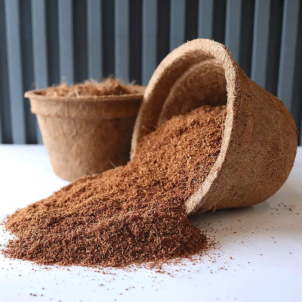 Venta de maceta biodegradable para viveros