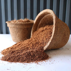 Venta de maceta biodegradable para viveros