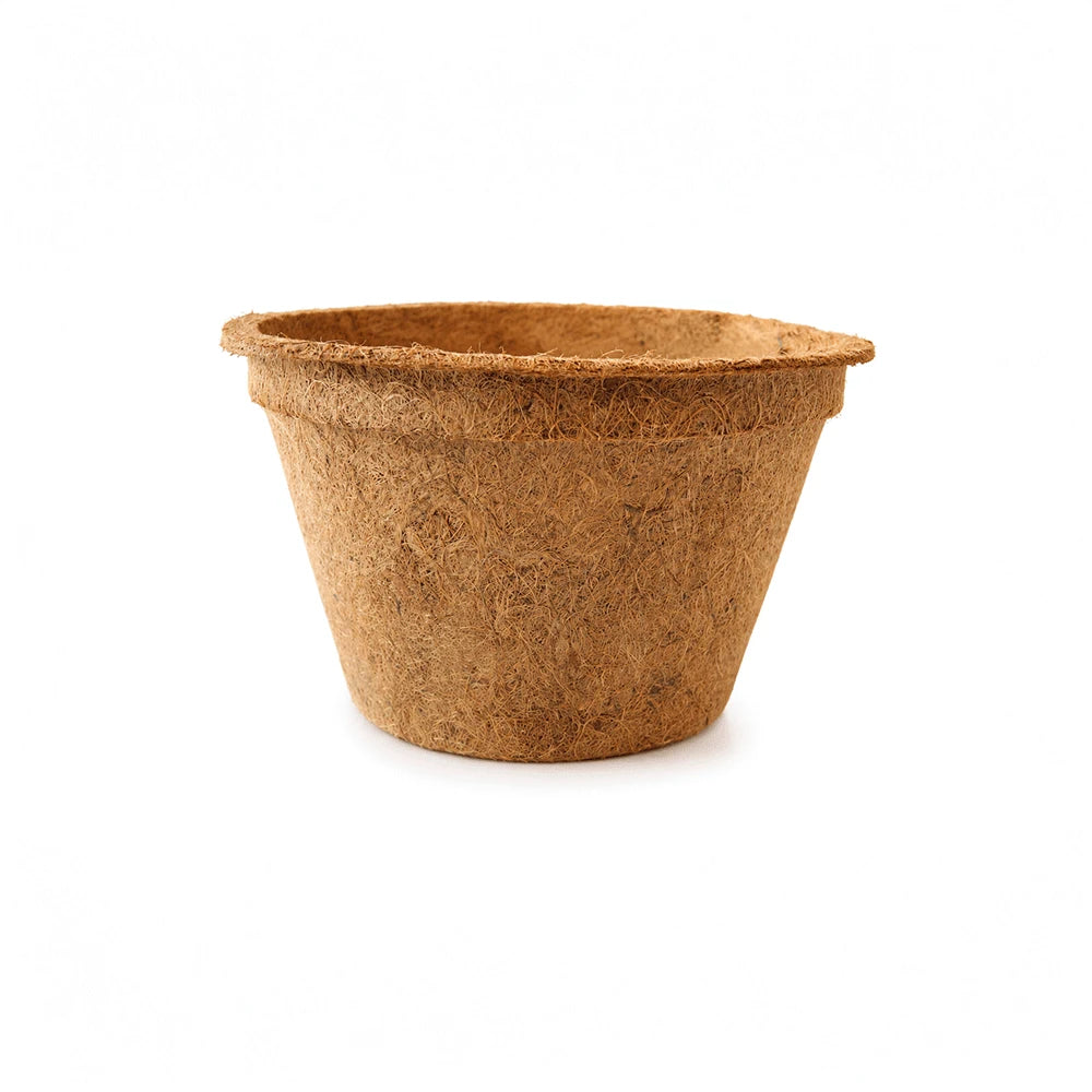 Maceta biodegradable