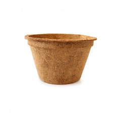 Maceta biodegradable