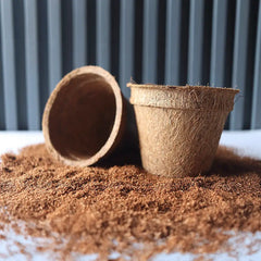 Maceta de coco para planta ornamental