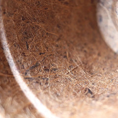 Ventas de Maceta de coco para planta ornamental