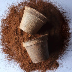 Maceta biodegradable para viveros