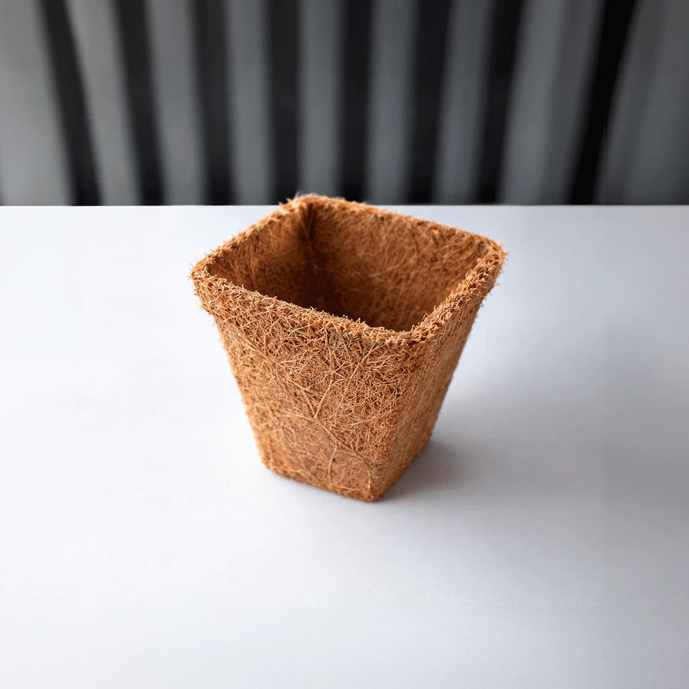 Maceta orgánica cuadrada de fibra de coco 9cm