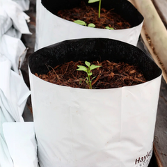 Sustrato de coco OpenTop de 40lt - 5