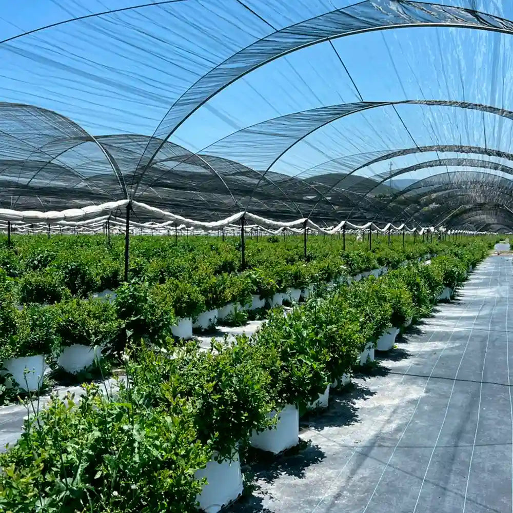 aplicaciones bloque de sustrato de coco 27lt