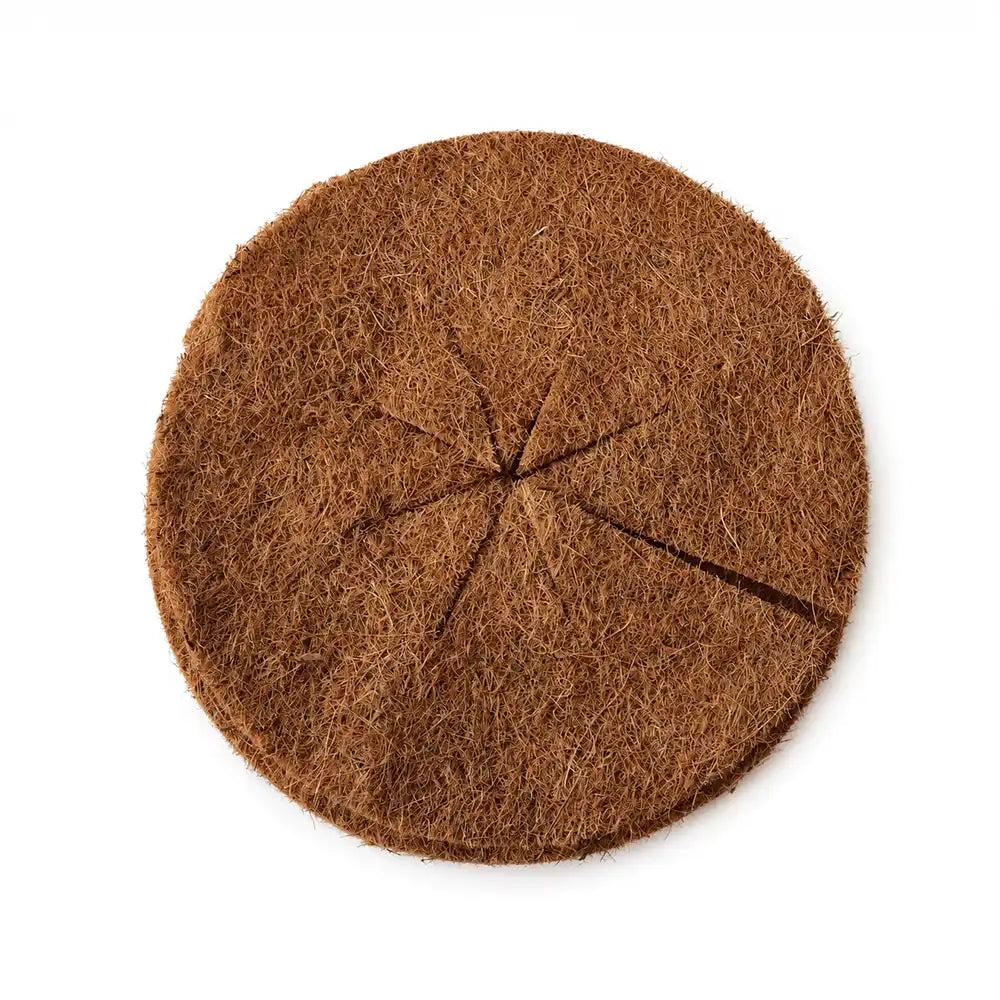 Venta disco de coco para macetas