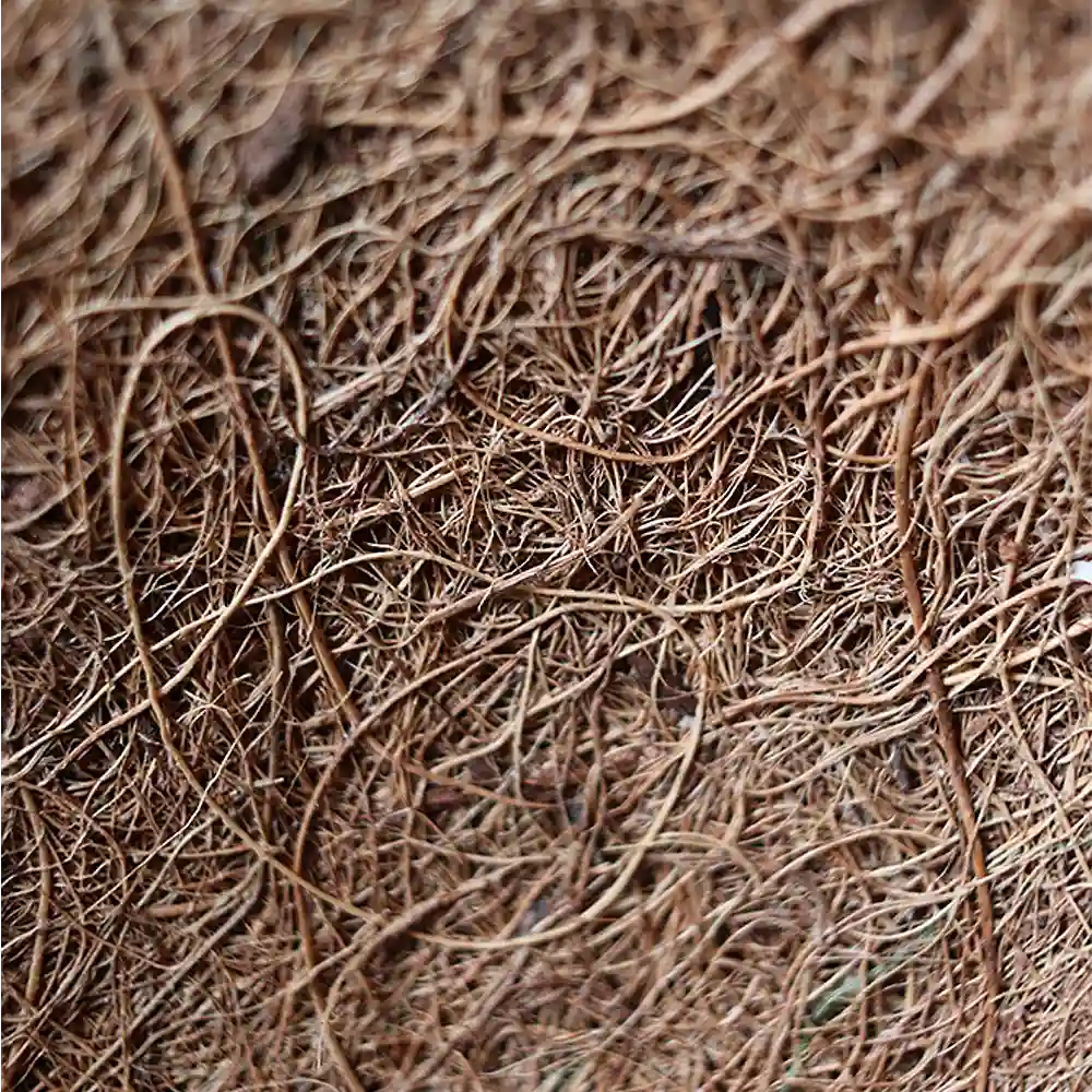 macetas naturales forro de coco para jardinera