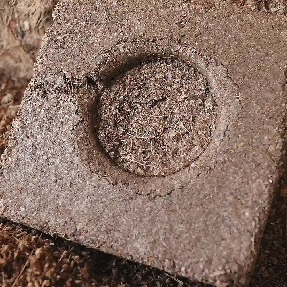 cubos para plantaciones de sustrato de coco