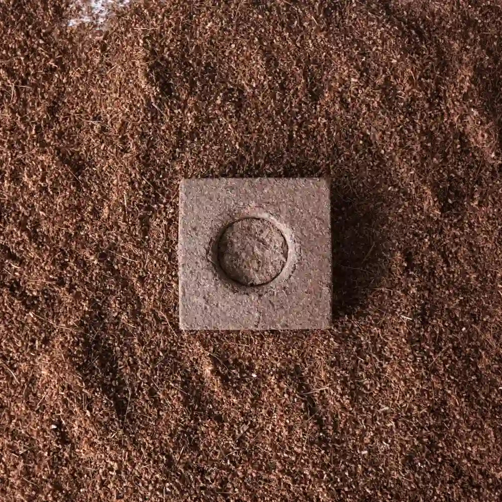 cubo growing de coco