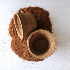 maceta biodegradable para viveros