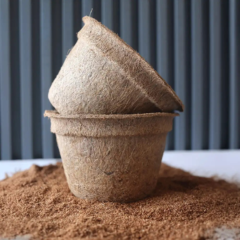 Distribuidor de macetas naturales para árboles 