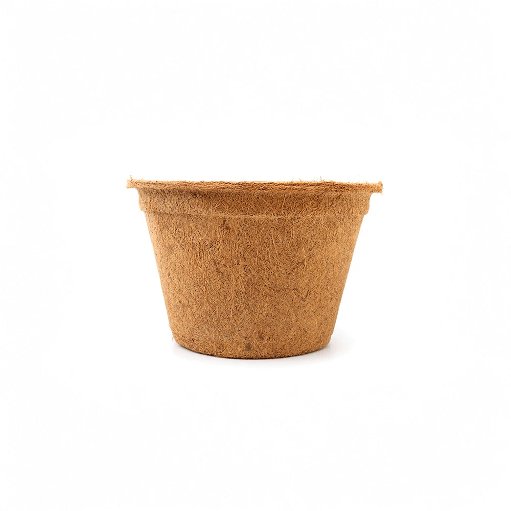maceta de fibra de coco