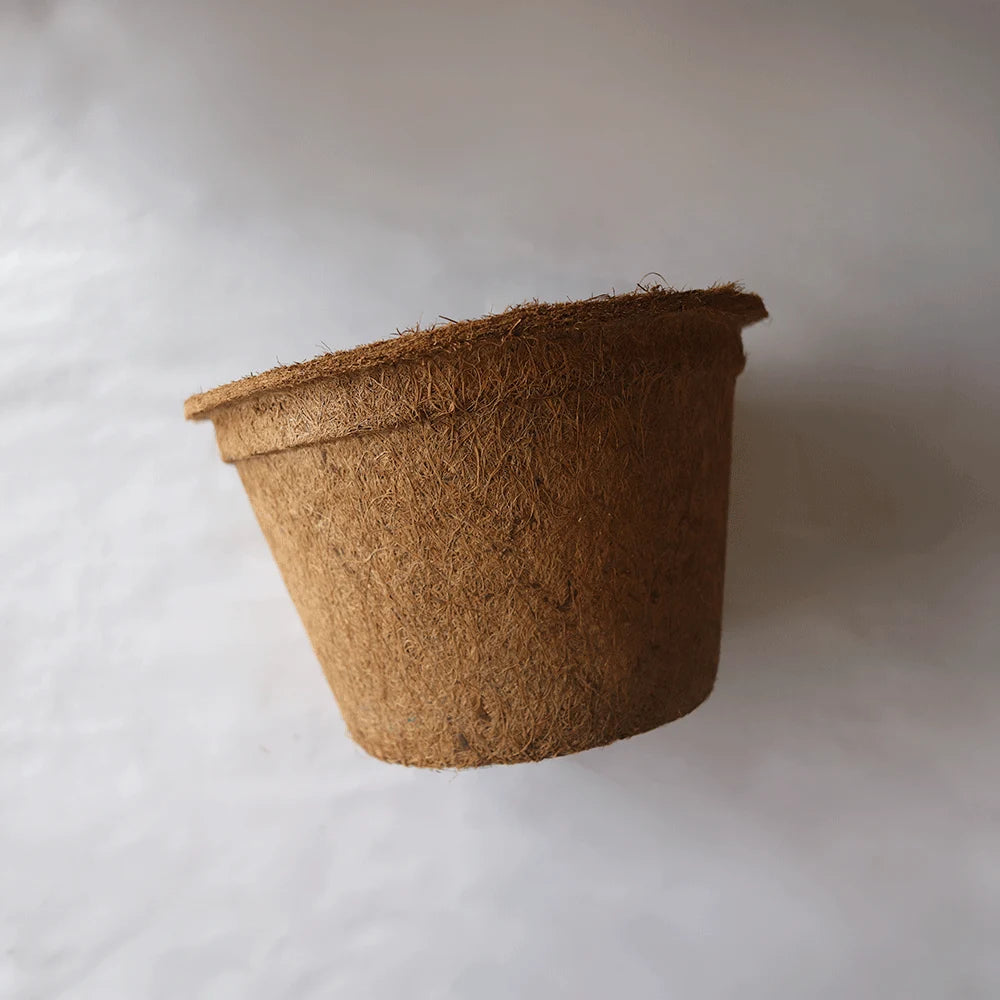 maceta de fibra de coco ecológica