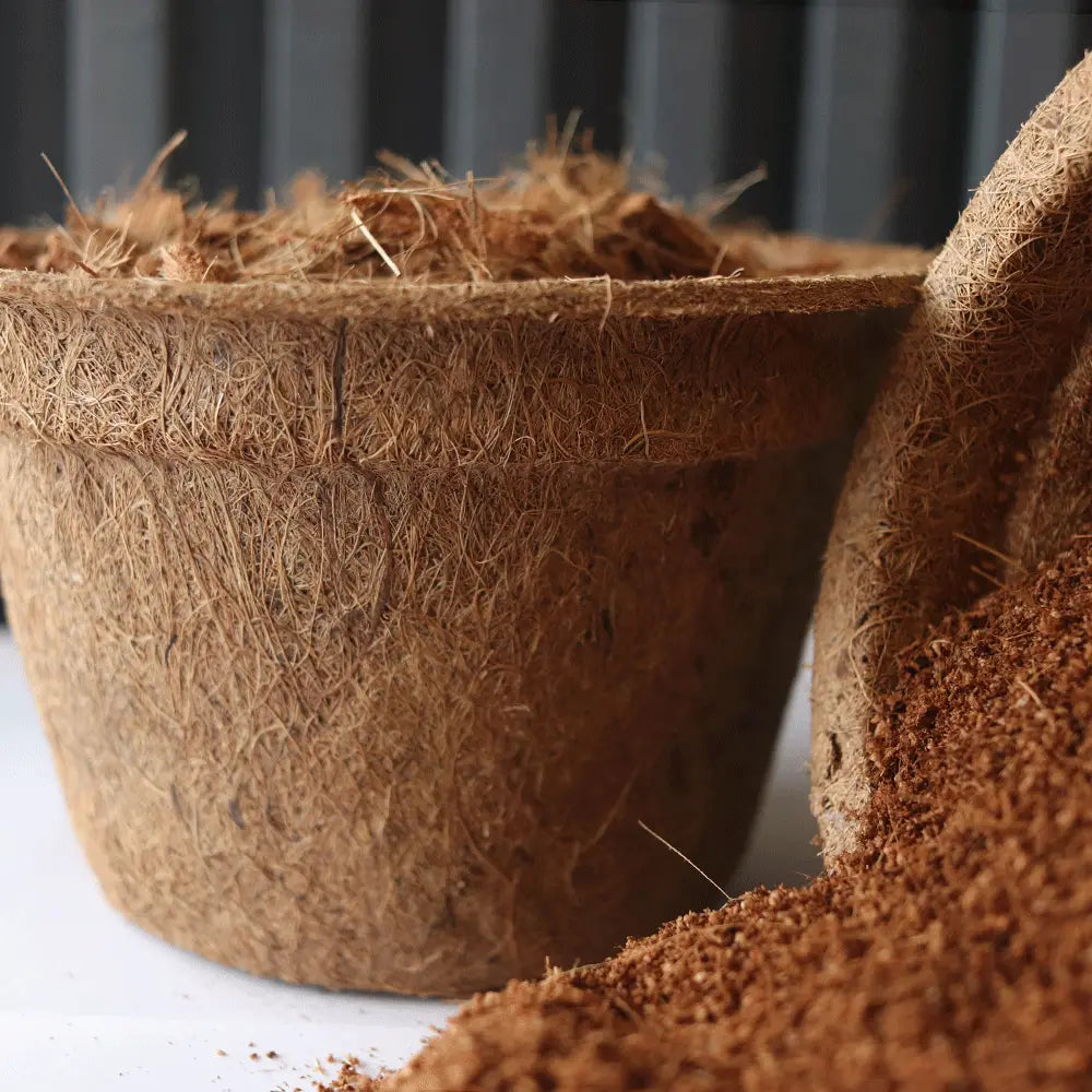 maceta de fibra de coco 2 litros