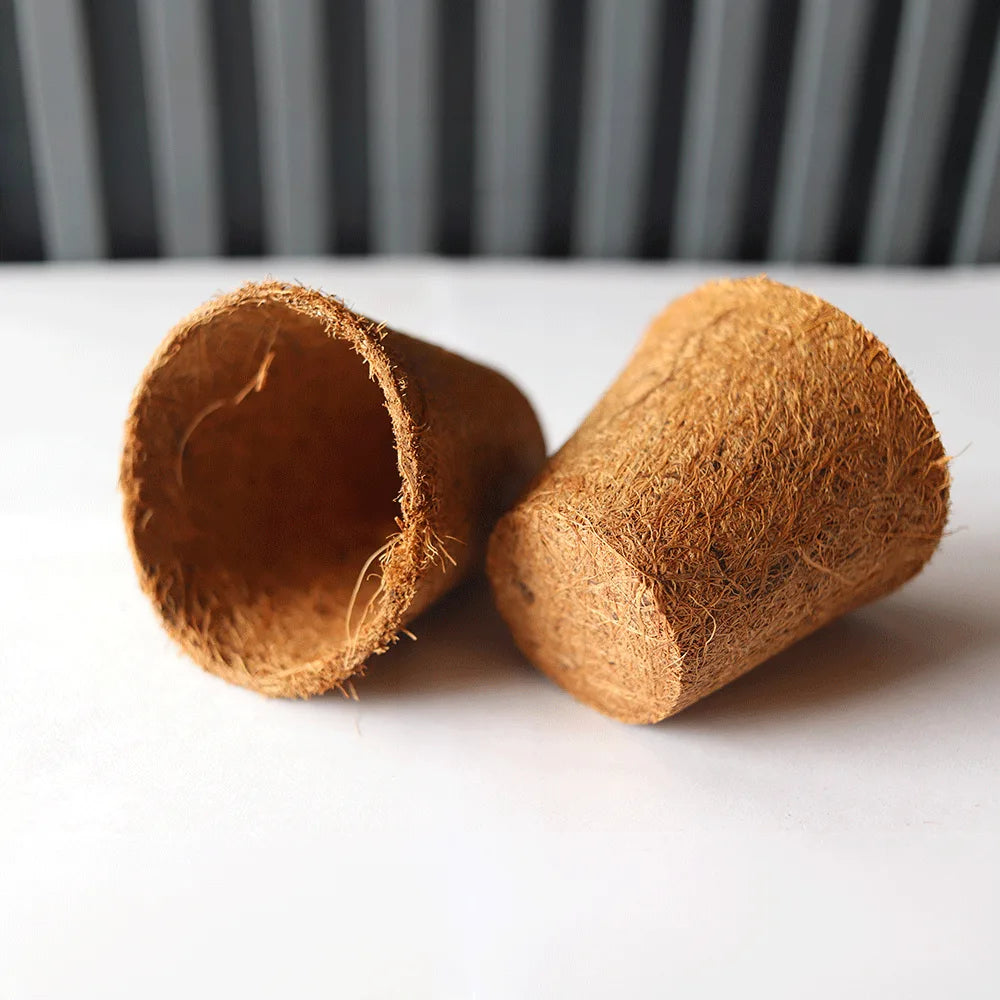 Ventas de macetas de fibra de coco en méxico