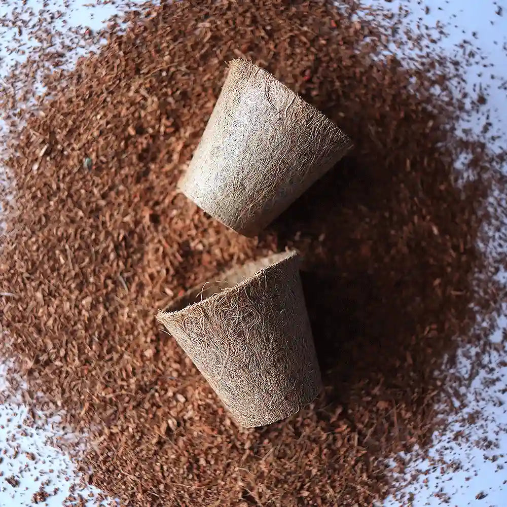 macetas pequeñas para plantas