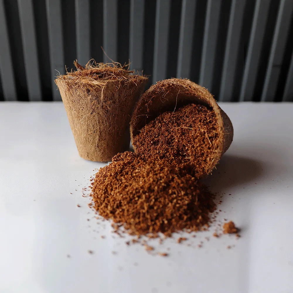 macetas pequeñas para plantitas