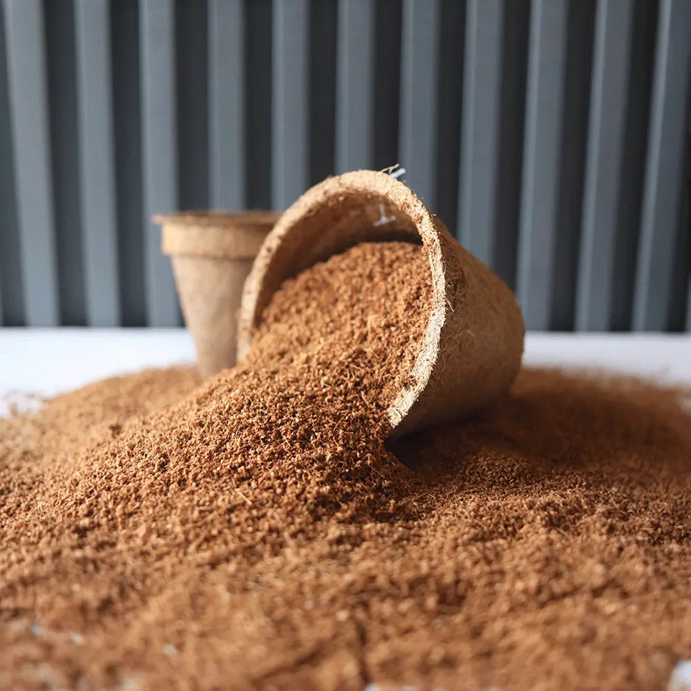Fibra de coco natural para macetas ecológicas