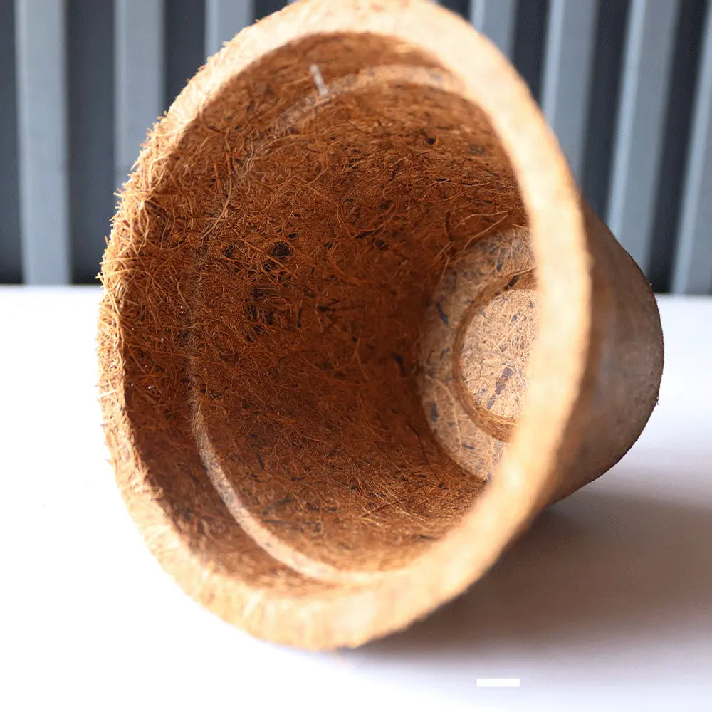 Maceta de coco para planta ornamental