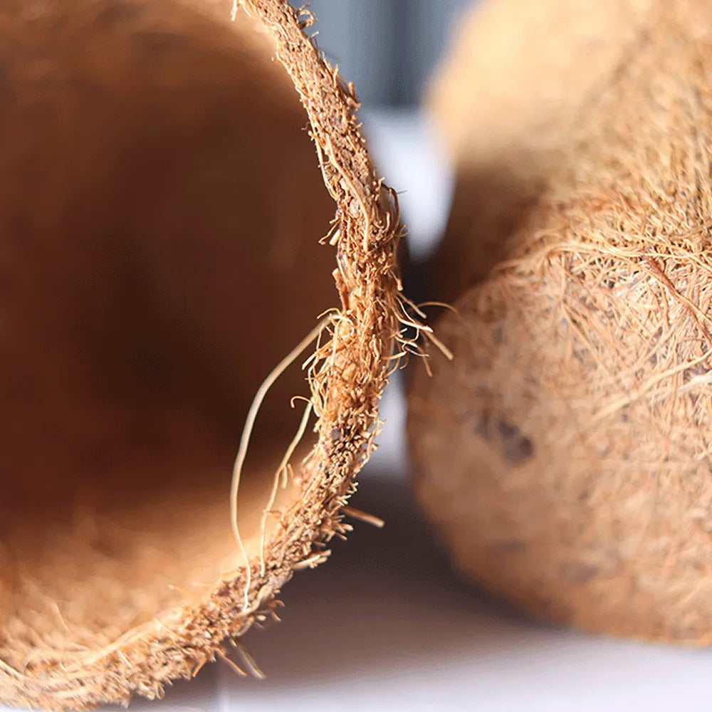 Maceta ecológica cuadrada de fibra de coco 9cm