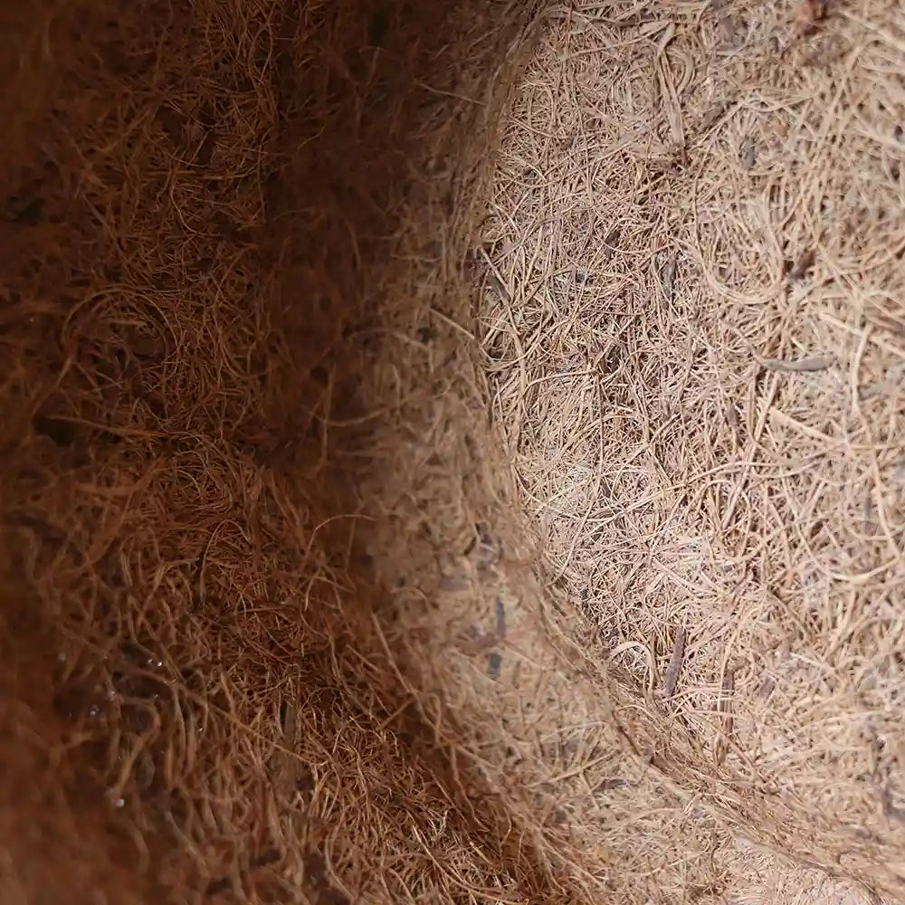 Maceta de coco para plantaciones