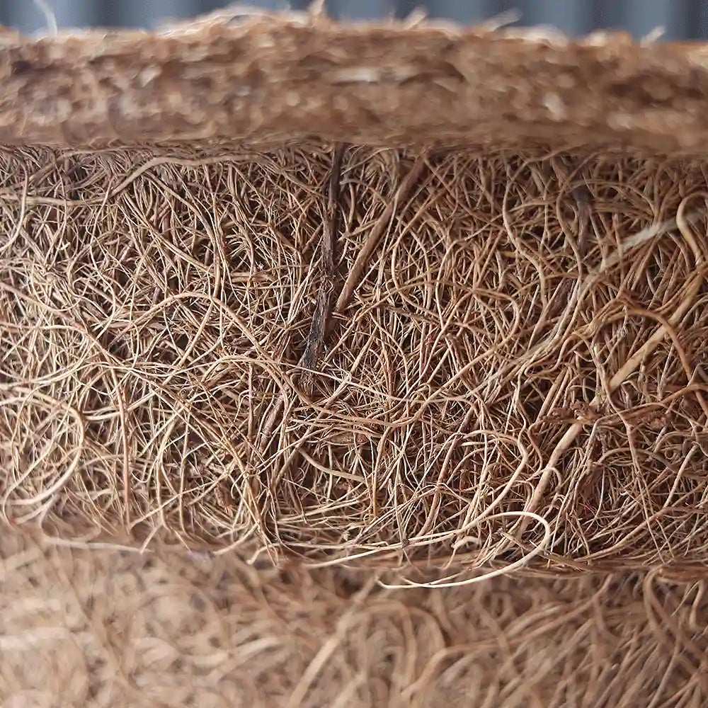 Maceta biodegradable en venta