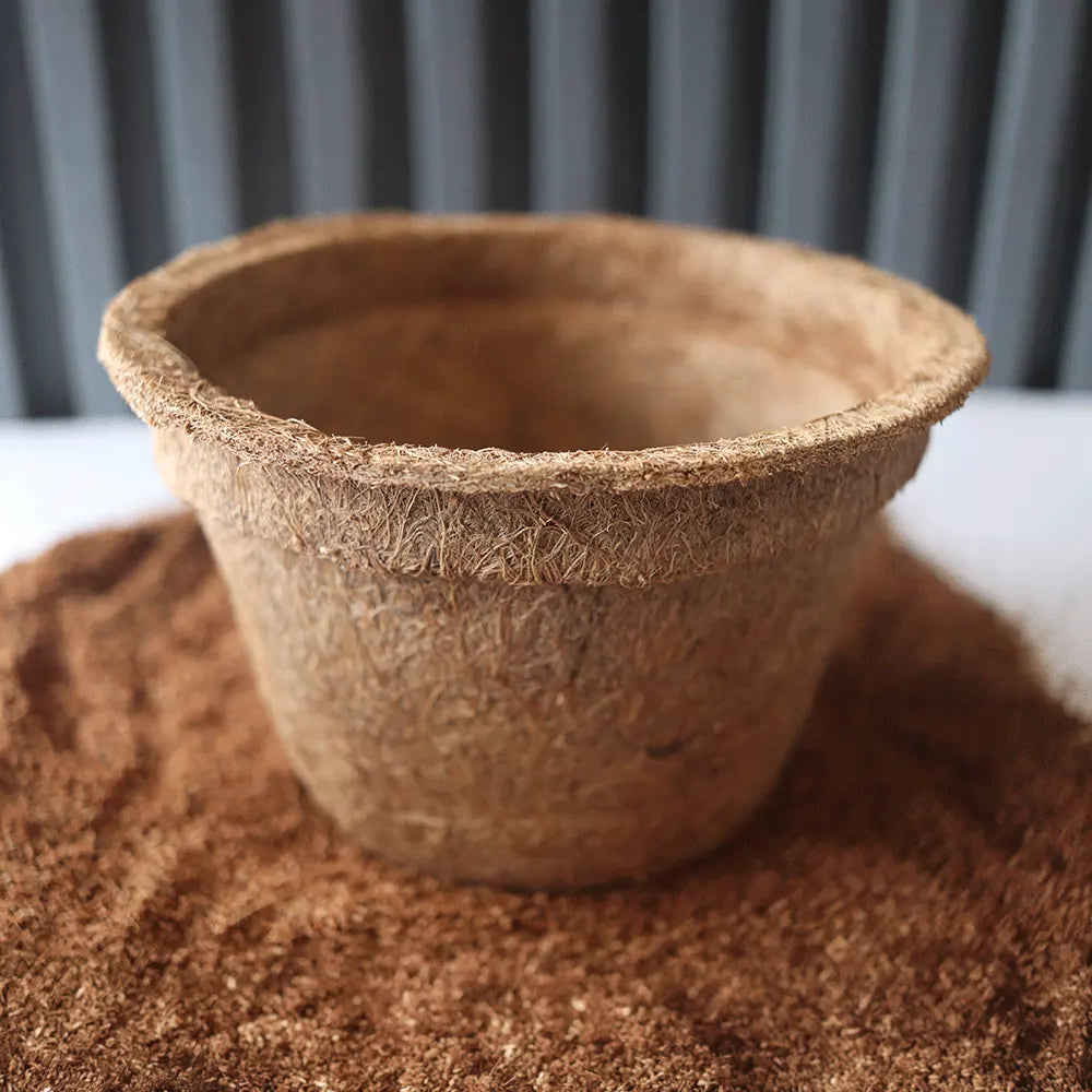 fibra de coco para macetas