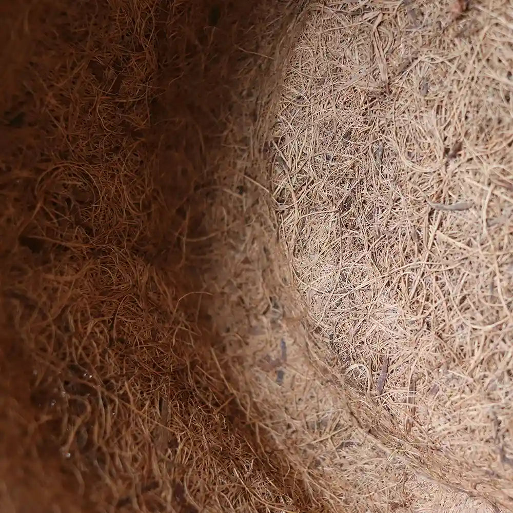 maceta con revestimiento de coco