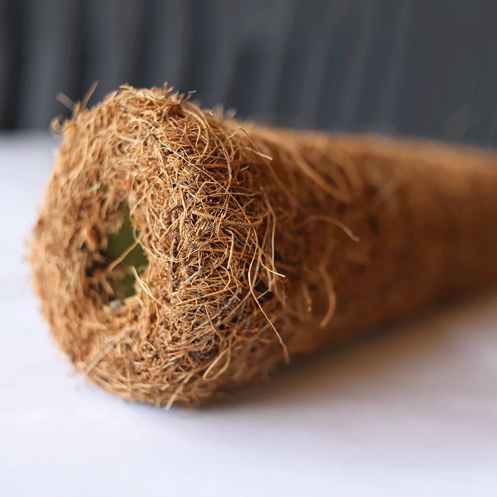 Poste de coco para tutorado